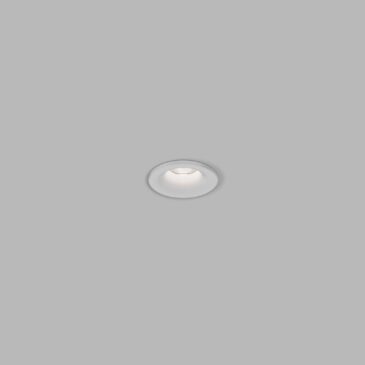 SPOT MINI